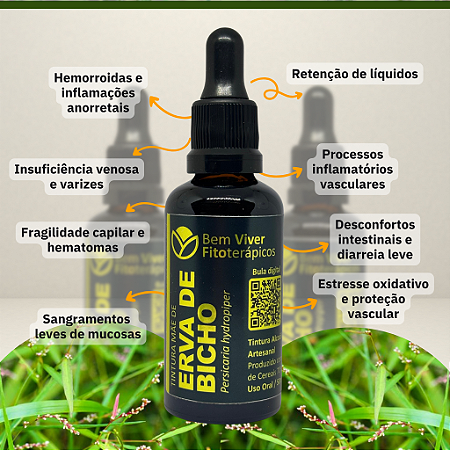 Extrato/Tintura Mãe de Erva de Bicho (Persicaria hydropiper) 50ml