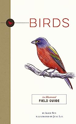 BIRDS - AN ILLUSTRATED FIELD GUIDE - CIDER MILL PRESS - SUN, ALICE