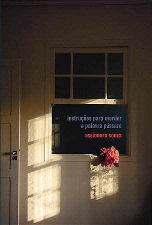 INSTRUÇÕES PARA MORDER A PALAVRA PÁSSARO - AUTOR(A): SOUZA, ASSIONARA