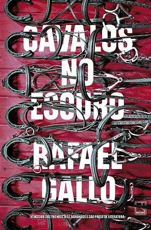CAVALOS NO ESCURO - AUTOR(A): GALLO, RAFAEL