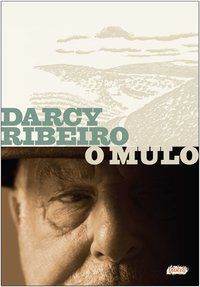 O MULO - RIBEIRO, DARCY