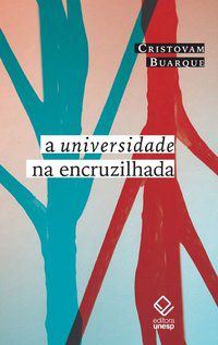A UNIVERSIDADE NA ENCRUZILHADA - BUARQUE, CRISTOVAM