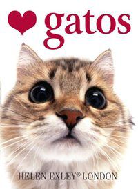 AMO GATOS - EXLEY, HELEN