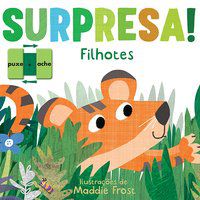 FILHOTES : SURPRESA! - LITTLE TIGER PRESS