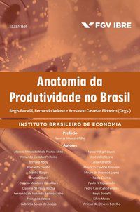ANATOMIA DA PRODUTIVIDADE NO BRASIL - FGV