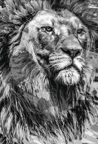 BÍBLIA NTLH YOUVERSION THE LION P&B - MAQUINARIA SANKTO