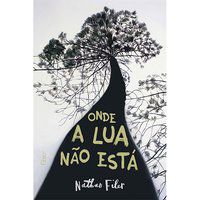ONDE A LUA NÃO ESTÁ - FILER, NATHAN