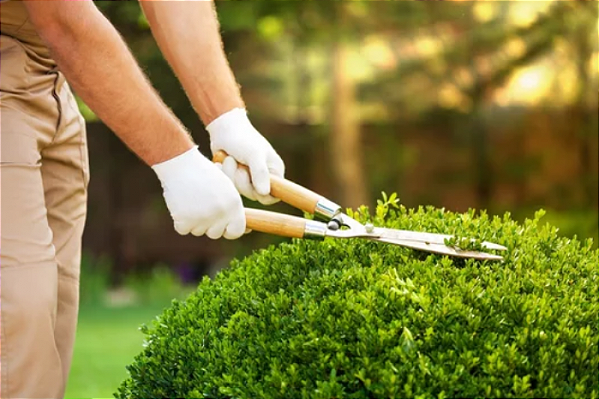 Jardinagem Profissional