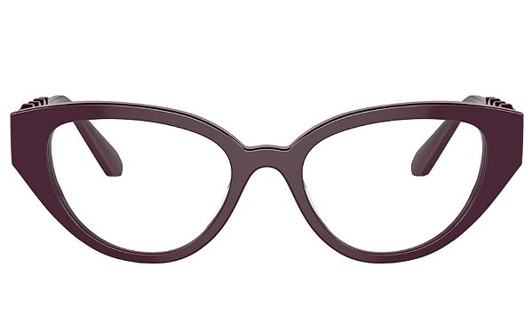 ARMAÇÃO SWAROVSKI ACETATO SK2024 1044 52
