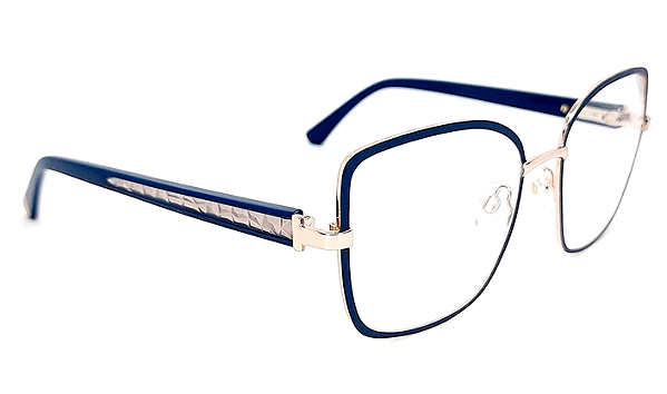ARMAÇÃO ANA HICKMANN ACETATO METAL AH10051 FEMININO