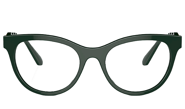 ARMAÇÃO SWAROVSKI ACETATO SK2025 1026 54 FEMININO