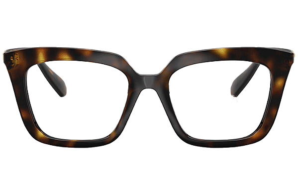ARMAÇÃO SWAROVSKI ACETATO SK2043 1002 51 FEMININO