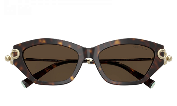 ÓCULOS DE SOL TIFFANY & CO TF4231-U 8015/3G 53 FEMININO