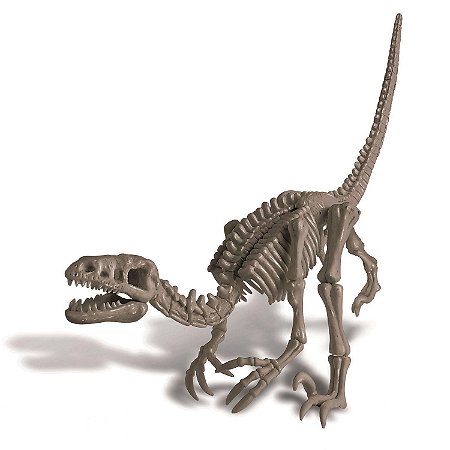 Kit de Escavação de Dinossauro Velociraptor - Educativos Brinquedos