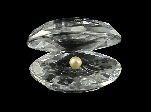 Ostra com  Pérola para Fotos