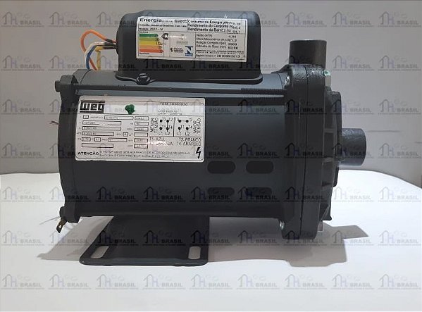 Bomba de circulação 25DP-M (220V) SPA J355