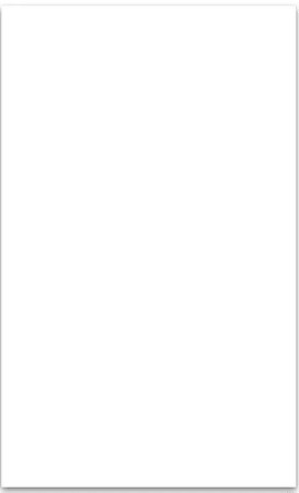 REVESTIMENTO FORMIGRES BRANCO RETIFICADO 33X59