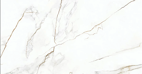 PORCELANATO DELTA CALACATA POLIDO 63X120