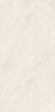 PORCELANATO DAME ACETINADO AR12146