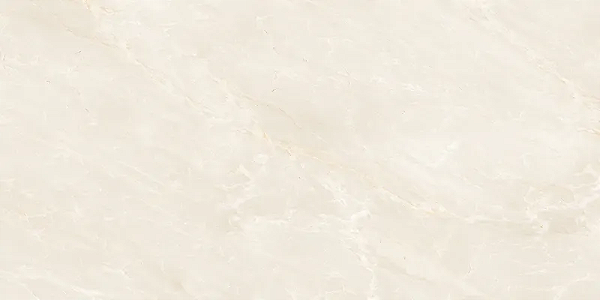 PORCELANATO DAME POLIDO PR12146