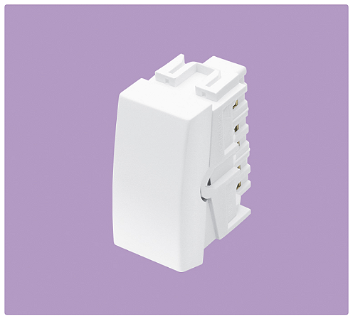 MODULO FAME ELEGANCE INTERRUPTOR BIPOLAR PARALELO 10A