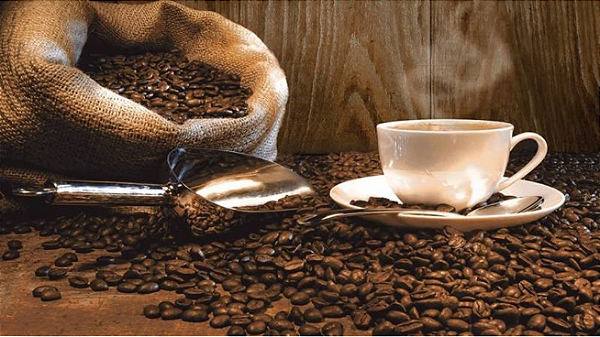 REVESTIMENTO MAJOPAR REF.HD 4035 CAFÉ