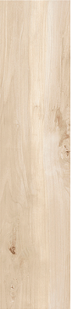 PORCELANATO PIOPPO REF.8358