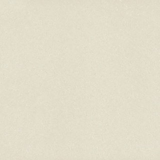 PORCELANATO DELTA REF.IGUACU POL 70X70