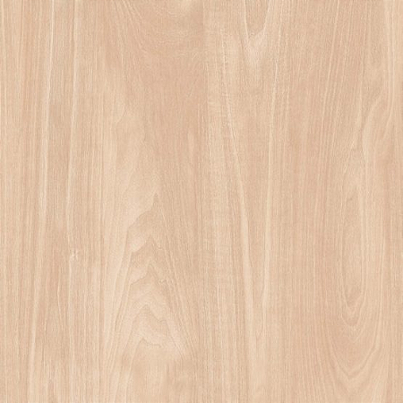 PORCELANATO 62,00 CONFORT 62102
