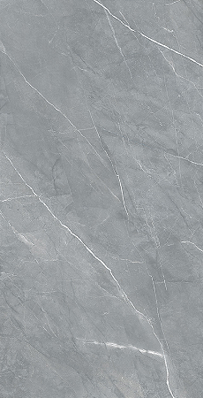 REVESTIMENTO CEDASA OLIMPO POL GRAN 56X113