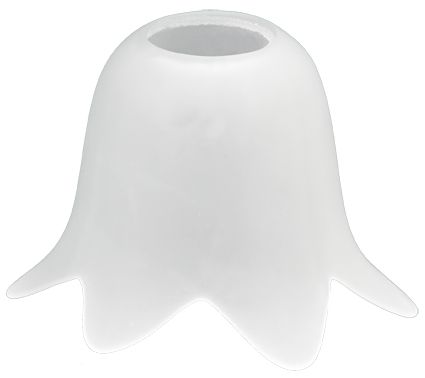 TULIPA MADRI SEM BORDA