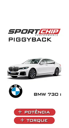 PIGGYBACK BMW