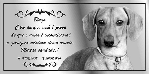 Placa Póstuma para Animais 10 X 20cm