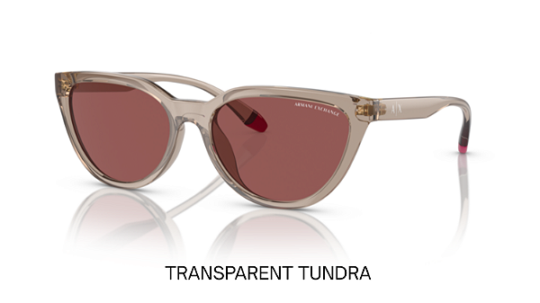 Óculos de Sol Armani Exchange 0AX4130SU