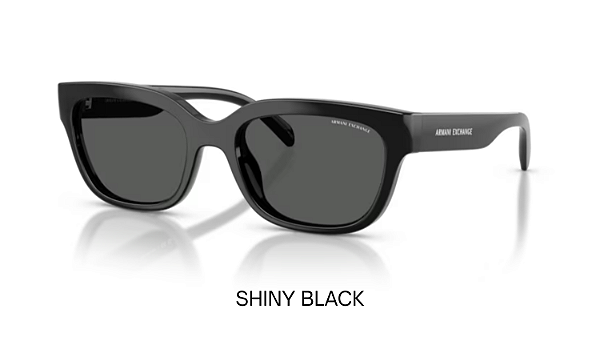 Óculos de Sol Armani Exchange 0AX4155SU