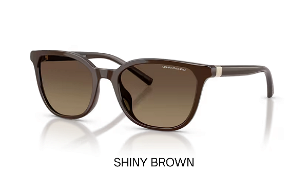 Óculos de Sol Armani Exchange 0AX4168SU