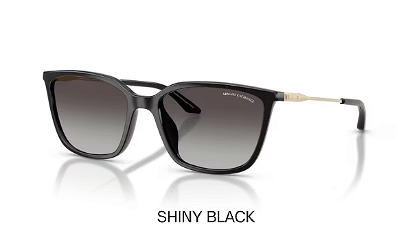 Óculos de Sol Armani Exchange 0AX4171SU