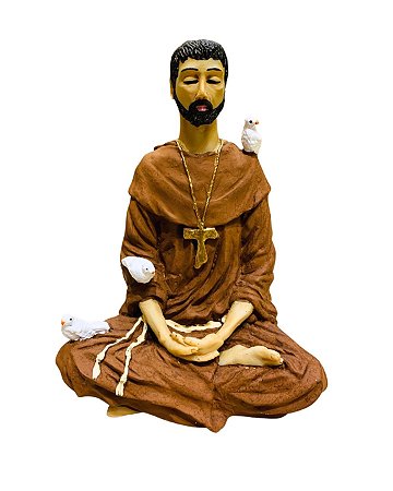 São Francisco de Assis Meditando - Colorido