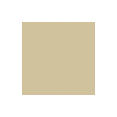 Tiffen Filtro 6.6 x 6.6 81D