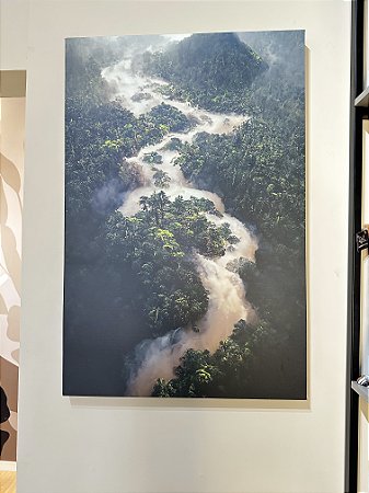Tela canvas Amazonas 60x90