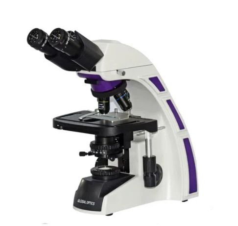 Microscópio Biológico Binocular - Finito Acromático 1000x Led Global
