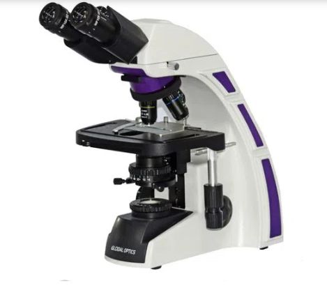 Microscopio Binocular Otica Finita Acromatico Com Contraste de Fase (obj 10x, 20x, 40x, 100x) -Global