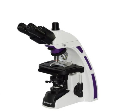 Microscópio Biológico Trinocular de Ótica Infinita Planacromático Aumento 1600x Revólver 5 Objetivas New Optics