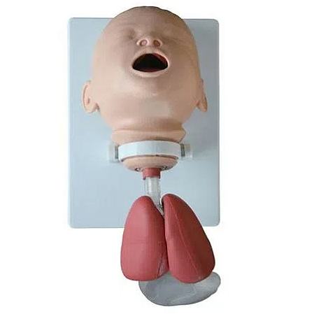 Simulador para Treinamento de intubação infantil - 4D ANATOMY