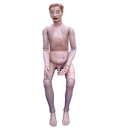 Boneco para Treinamento de Enfermaria (Masculino) - 4D Anatomy