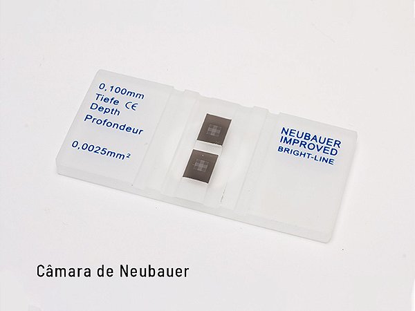 Câmaras de contagem de células - Câmara de Neubauer melhorada 1 unidade -  PERFECTA