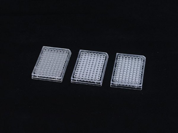 Microplaca para Cultivo Celular capacidade 24 poços área 1,9cm2 volume 0,38 - 0,57 NEST
