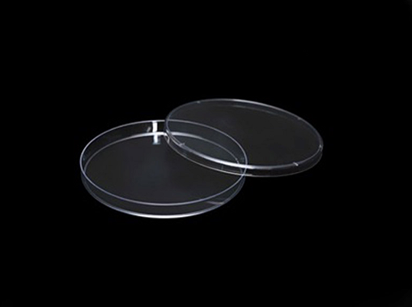 Placa de petri vidro borosilicato, 150x30mm, espessura 1,0 a 1,2mm 1 unidade - PERFECTA