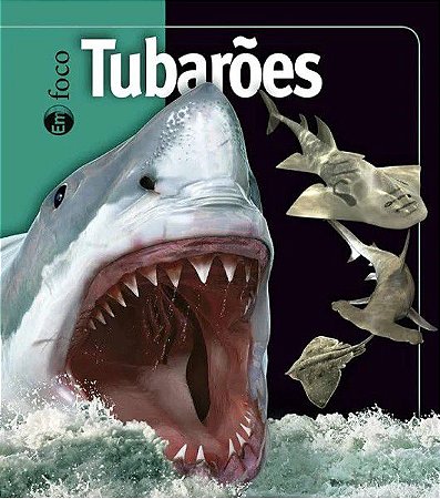 Em Foco - Tubarões