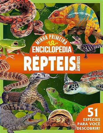 Livro Minha Primeira Enciclopédia de Animais - Répteis e Anfíbios